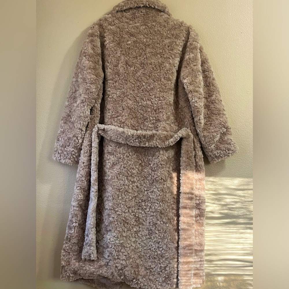 Express Teddy Coat